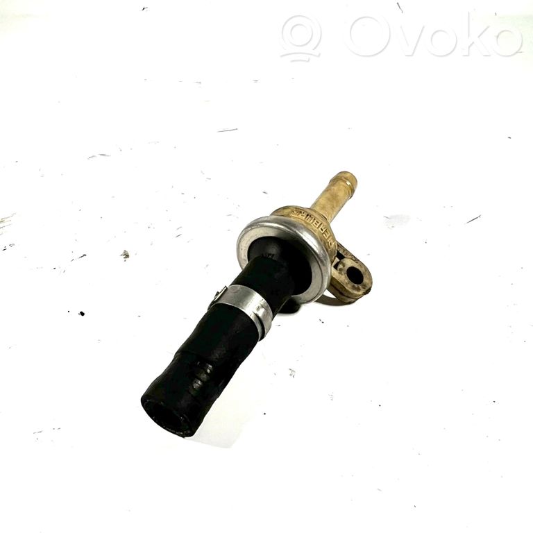 Fuel injection pipe(s)