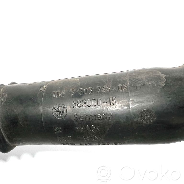 Interkūlera šļūtene (-es) / caurule (-es)