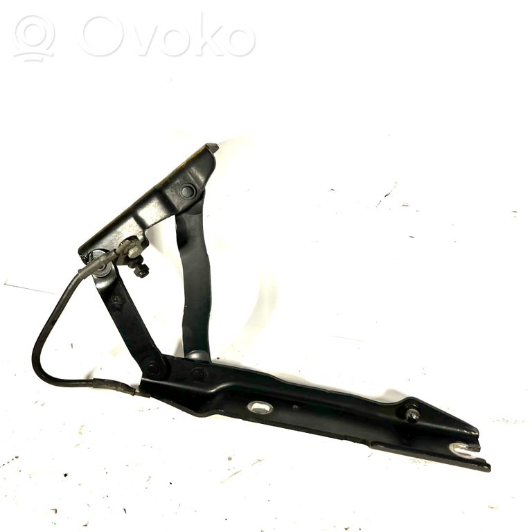 Петли капота двигателя