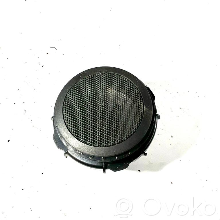 Твитер(ы) в передней двери