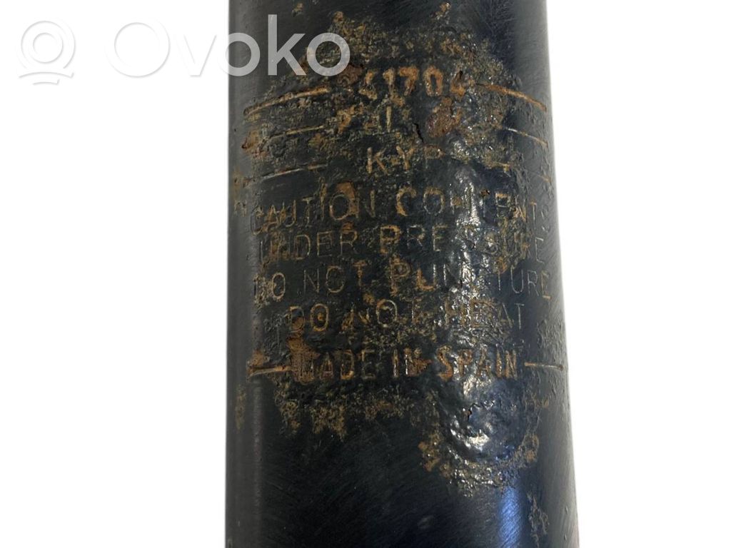 Rear shock absorber with spring