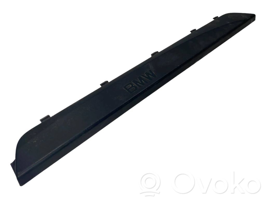 Front sill trim (inner)