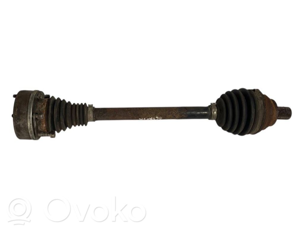 Priekšējā pusass