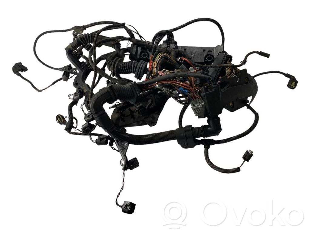Engine wiring harness
