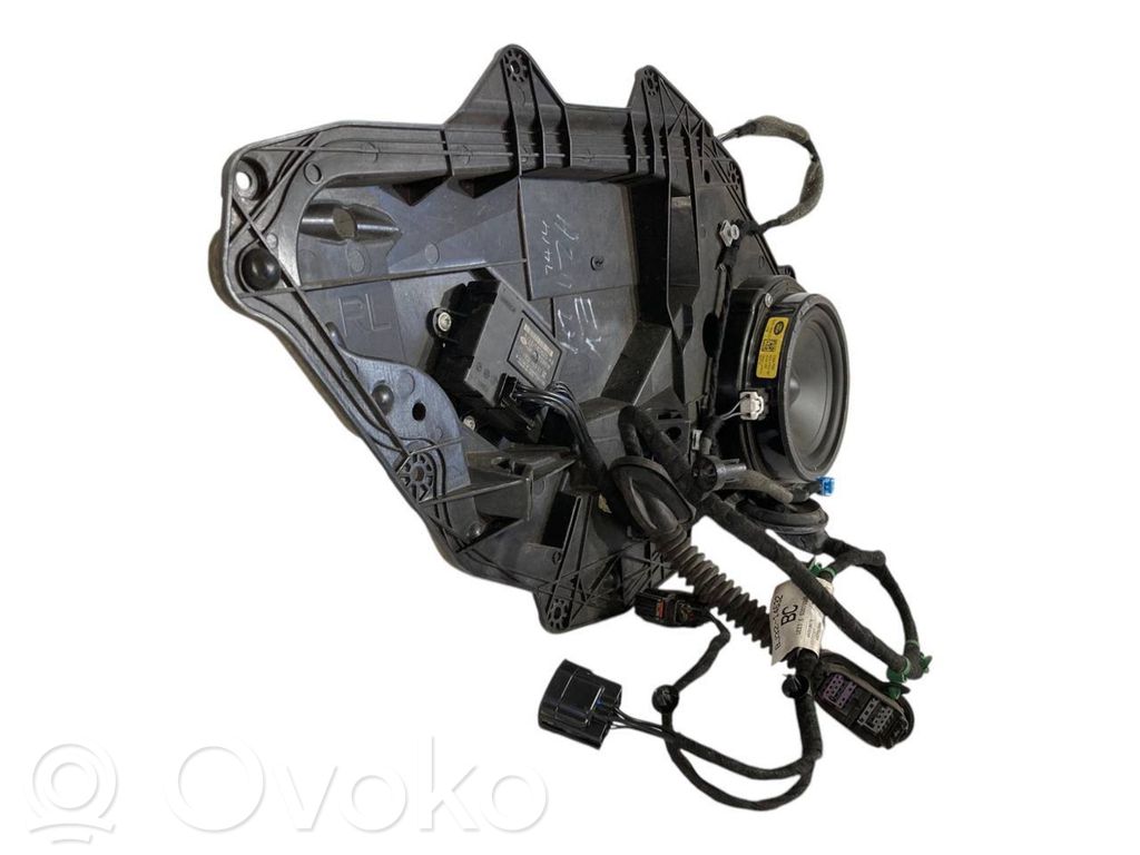 Speaker(s) in the rear door
