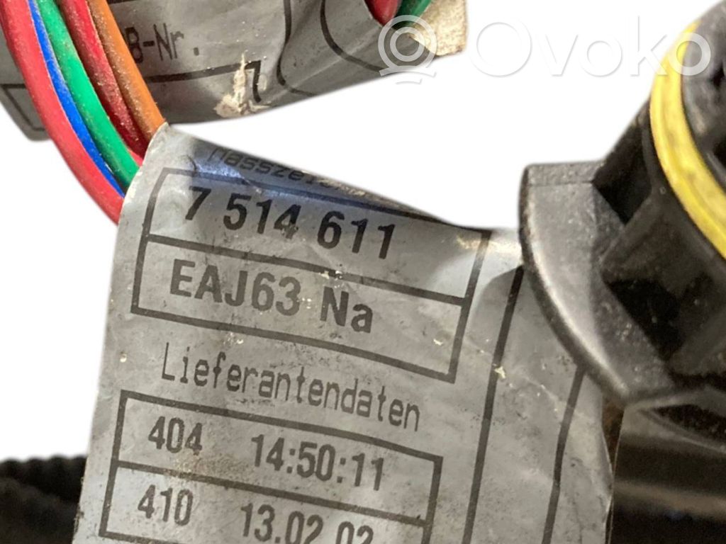 Engine wiring harness