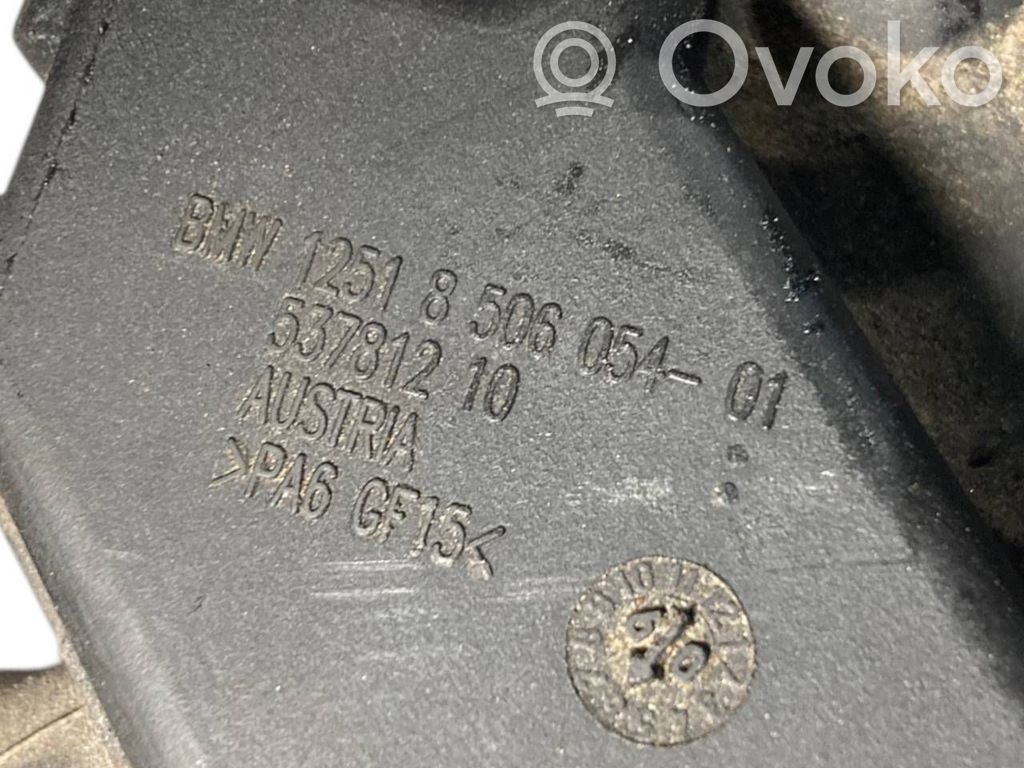 Engine wiring harness