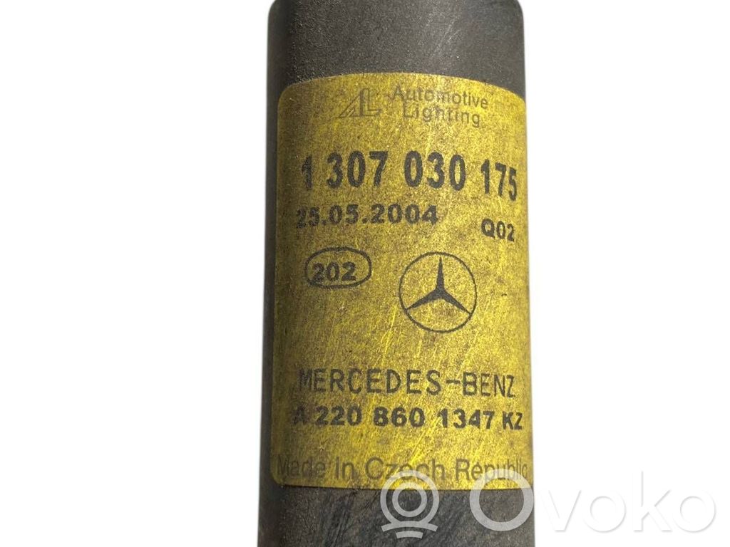 Lukturu mazgātāja sprausla (-as)