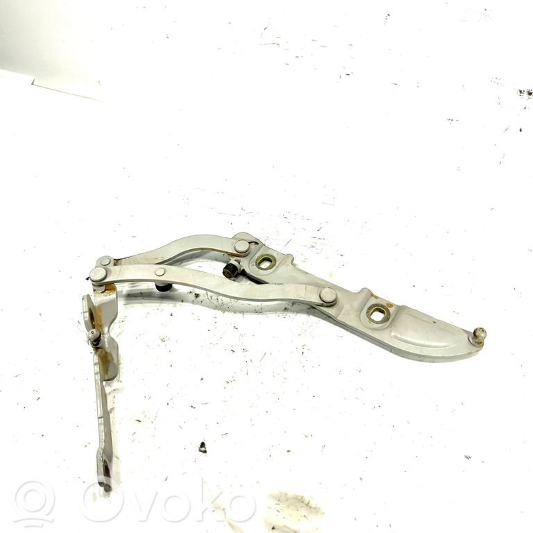 Aizmugurējā pārsega eņģe (-ess)