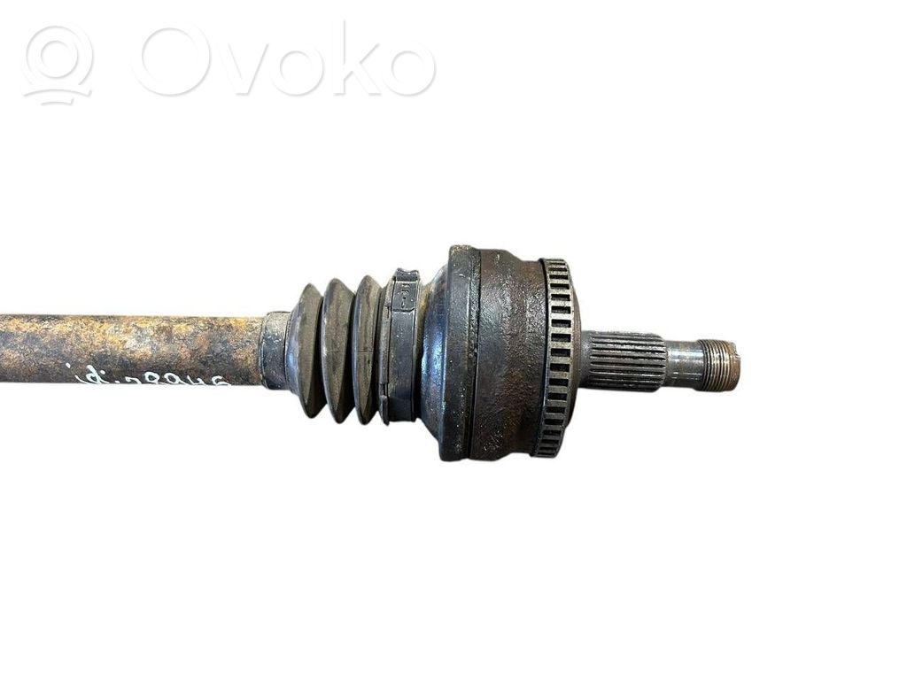 Aizmugurējā pusass