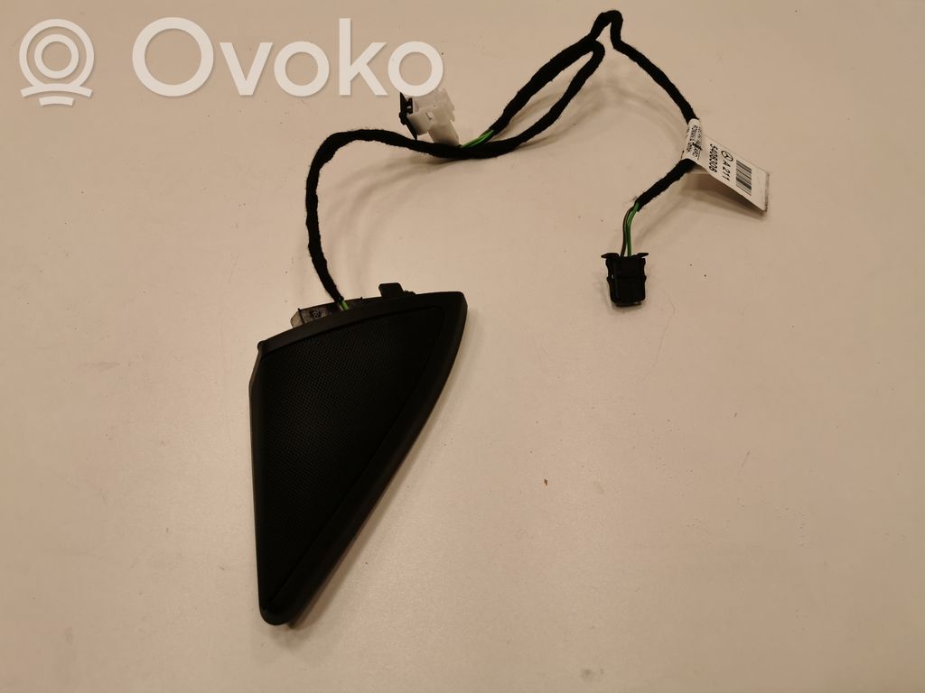 Speaker(s) in front door