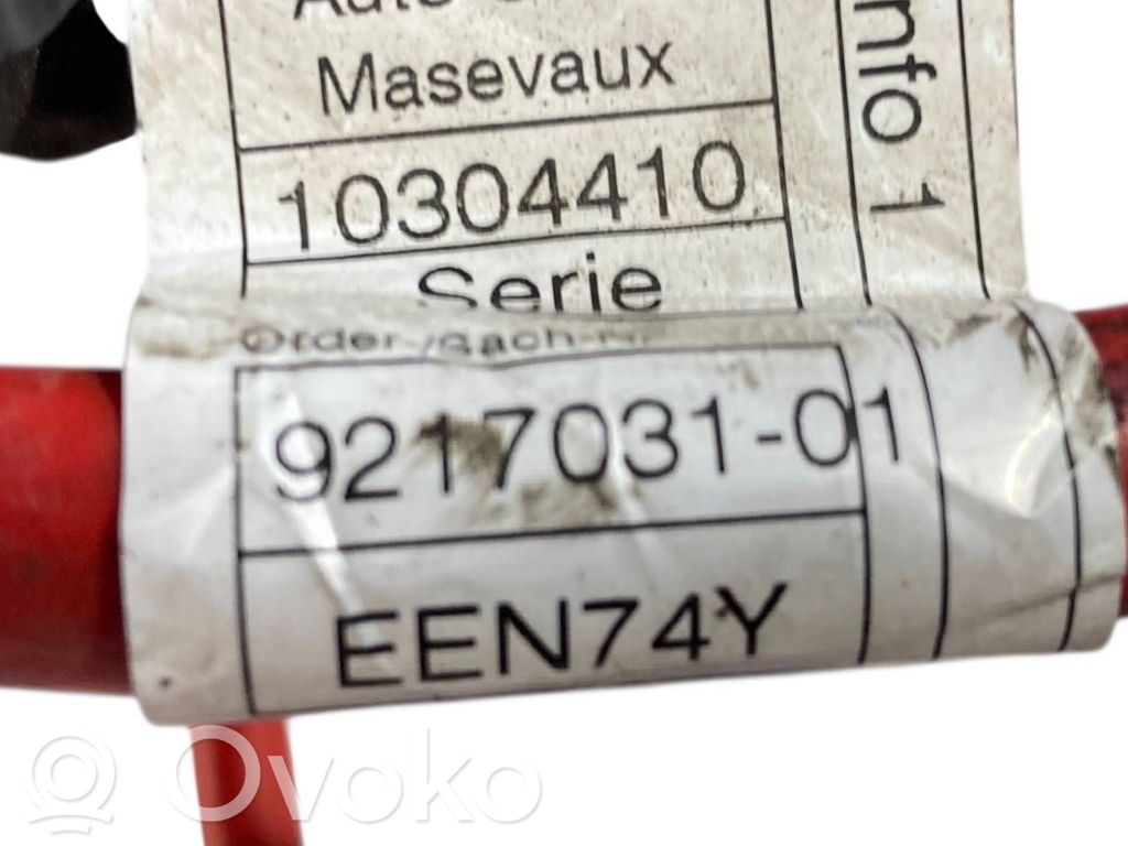 Plusa vadu savienošanas mezgls