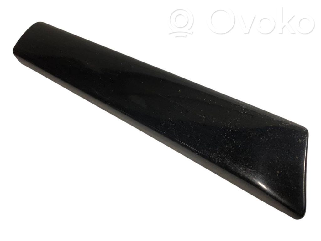 Fender decorative trim (molding)