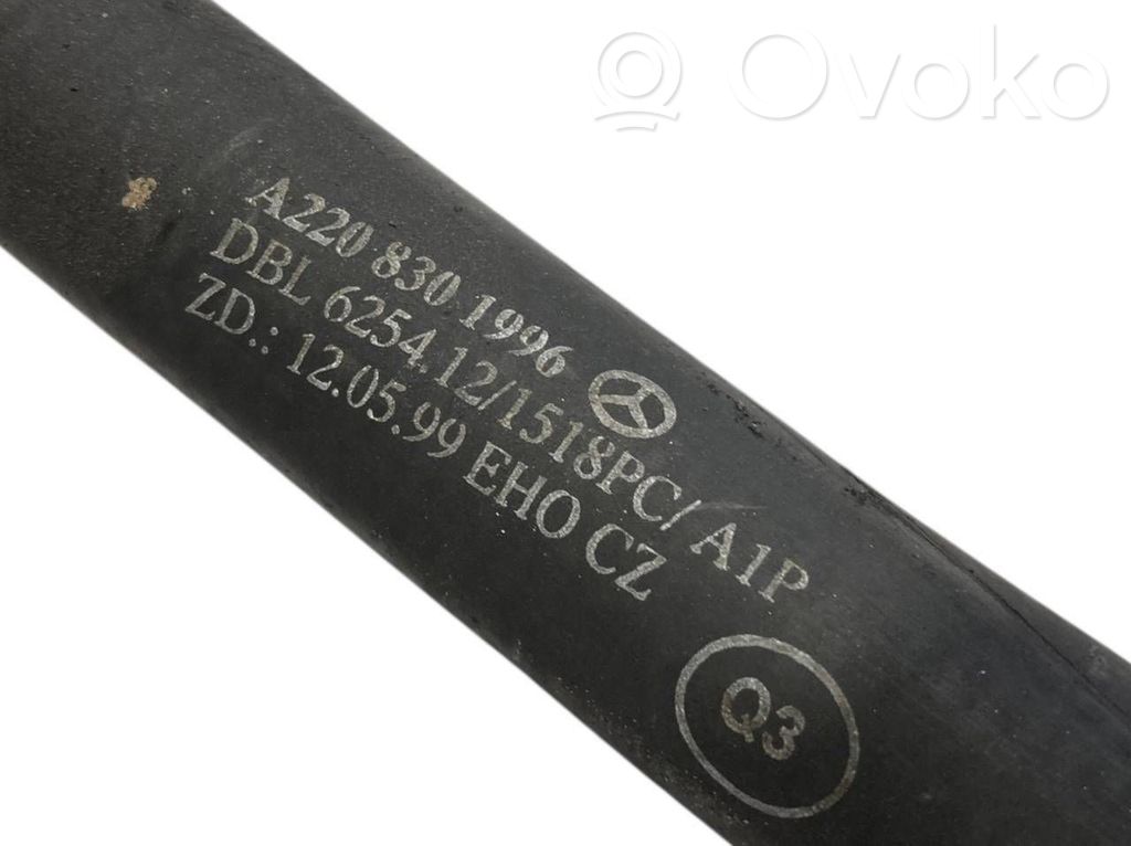 Caurulīte (-es) / šļūtene (-es)