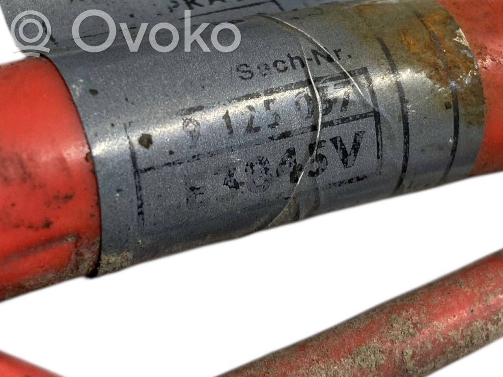 Plusa vads (akumulatora)