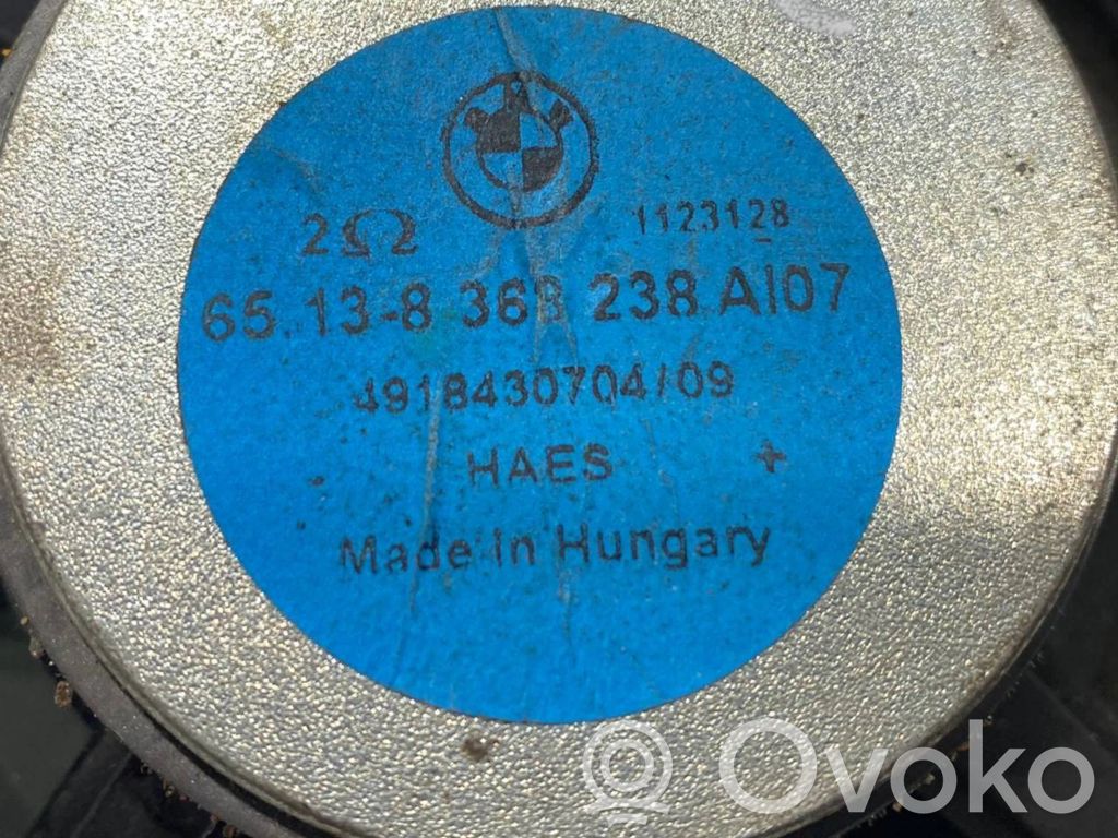 Speaker(s) in front door