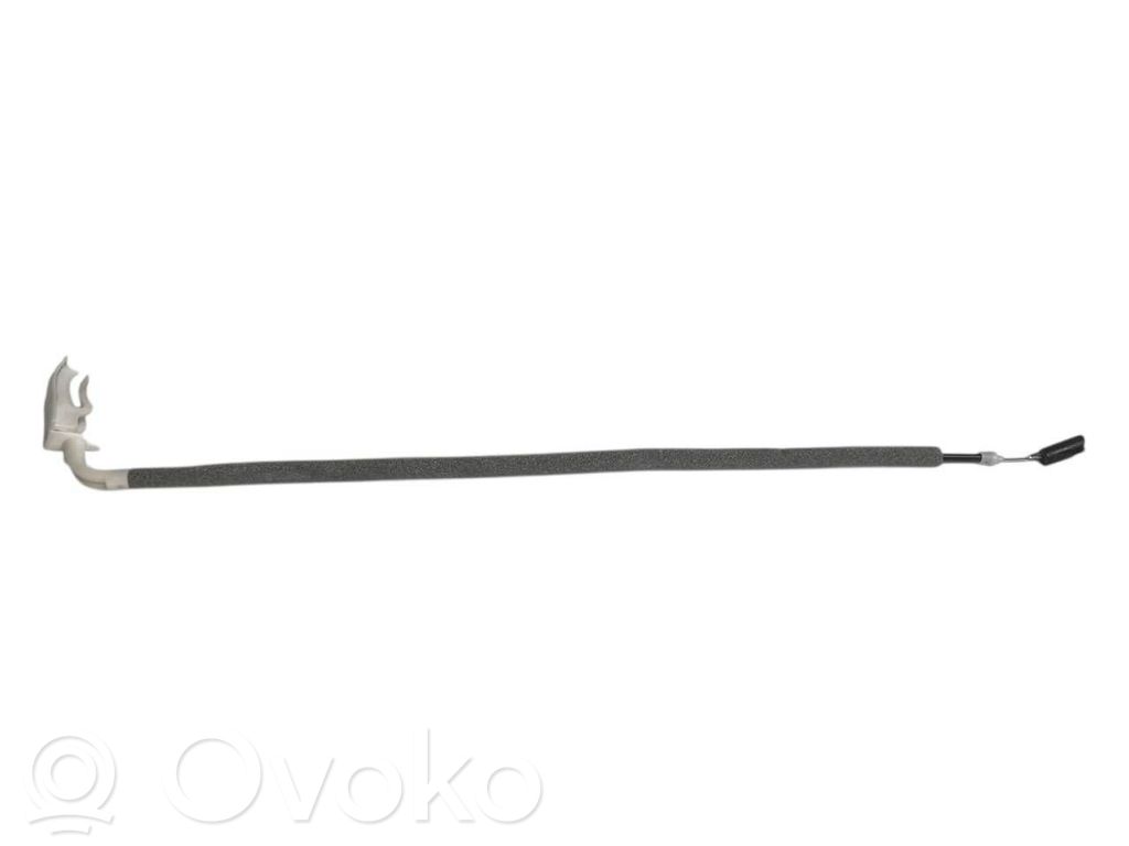 Trosīte
