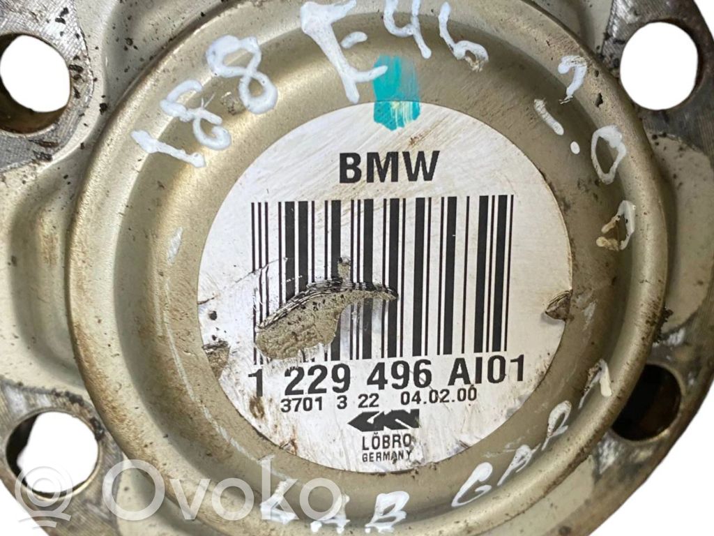 Aizmugurējā pusass