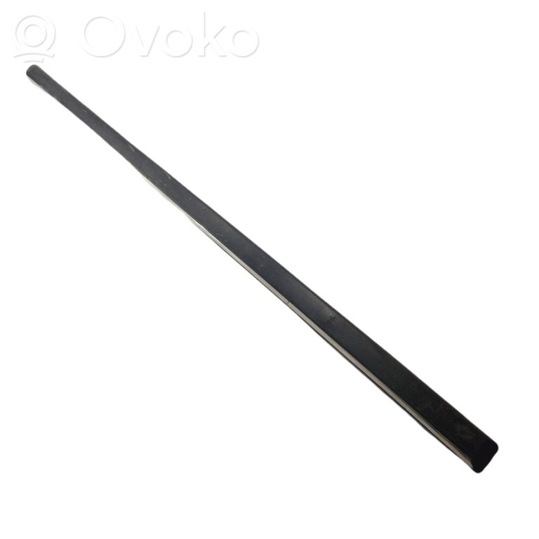 Front door decorative trim (molding)