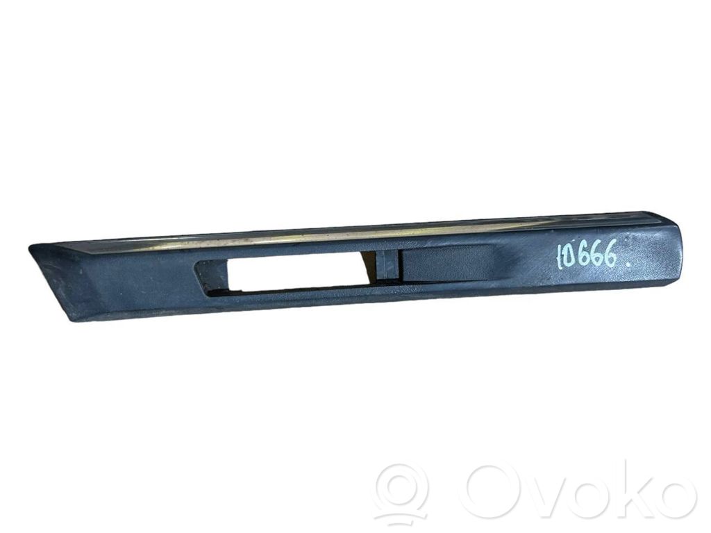 Fender decorative trim (molding)