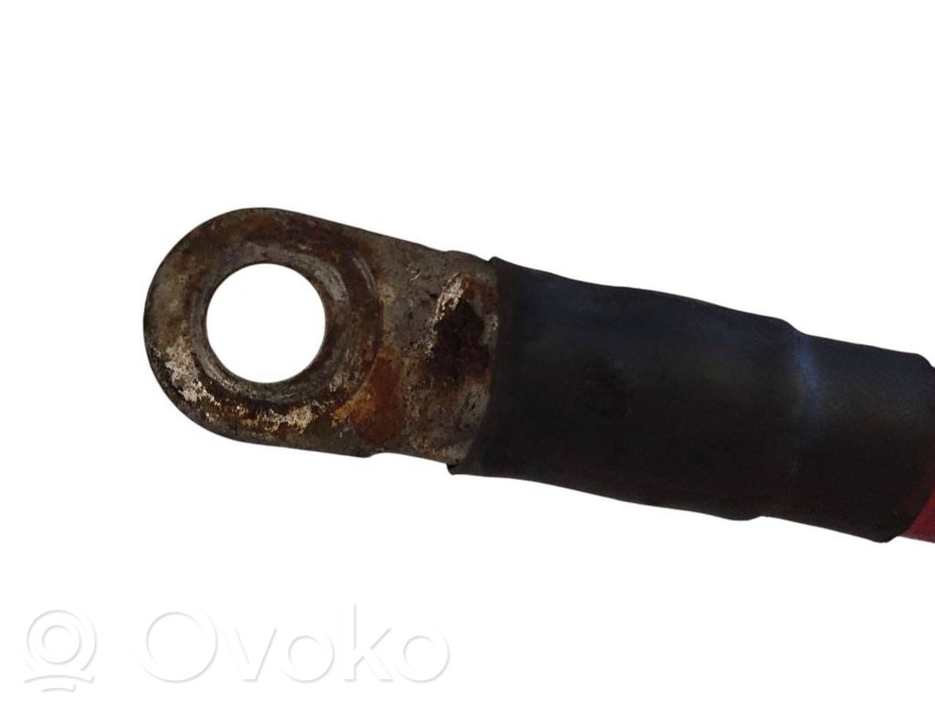 Plusa vads (akumulatora)