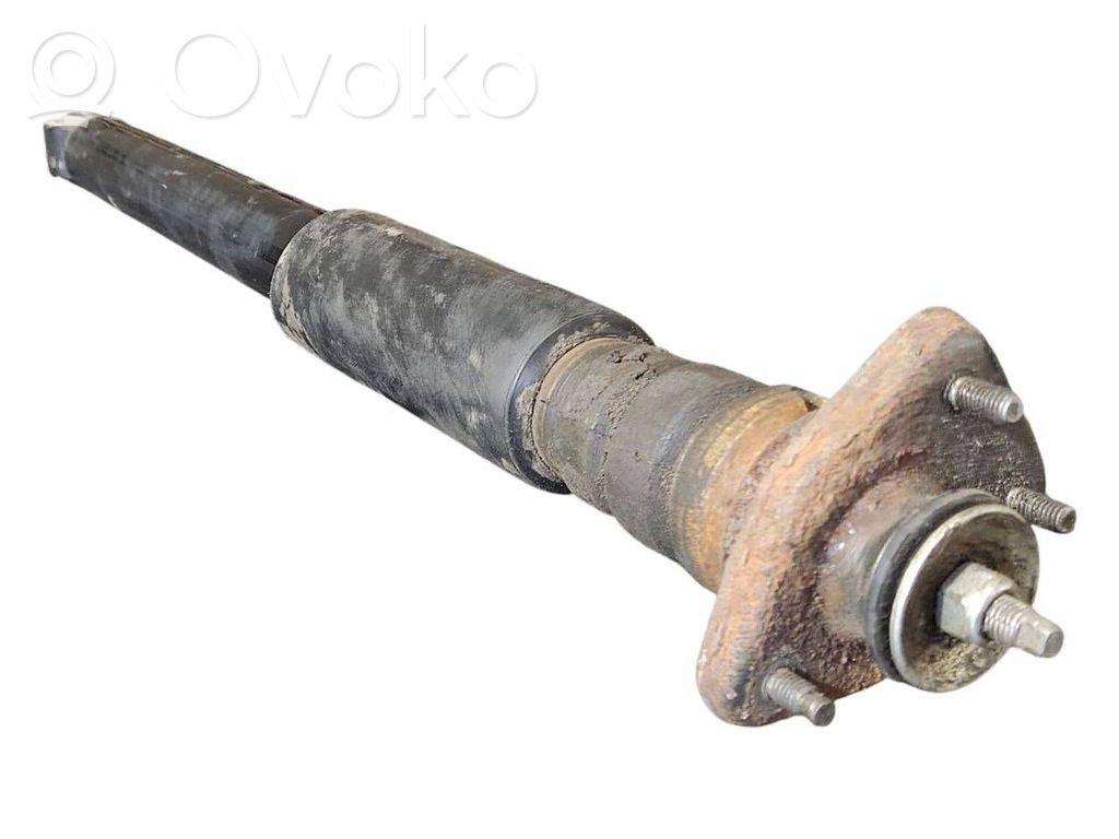 Rear shock absorber with spring
