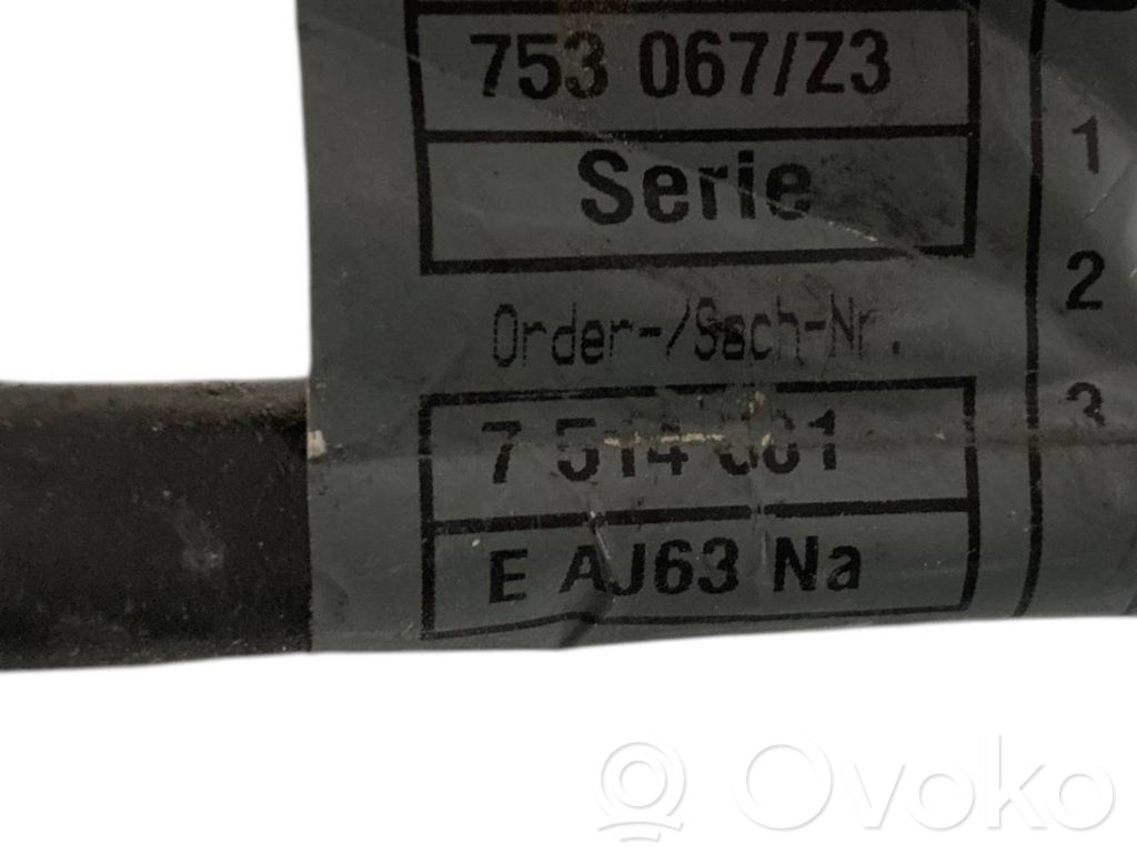 Engine wiring harness