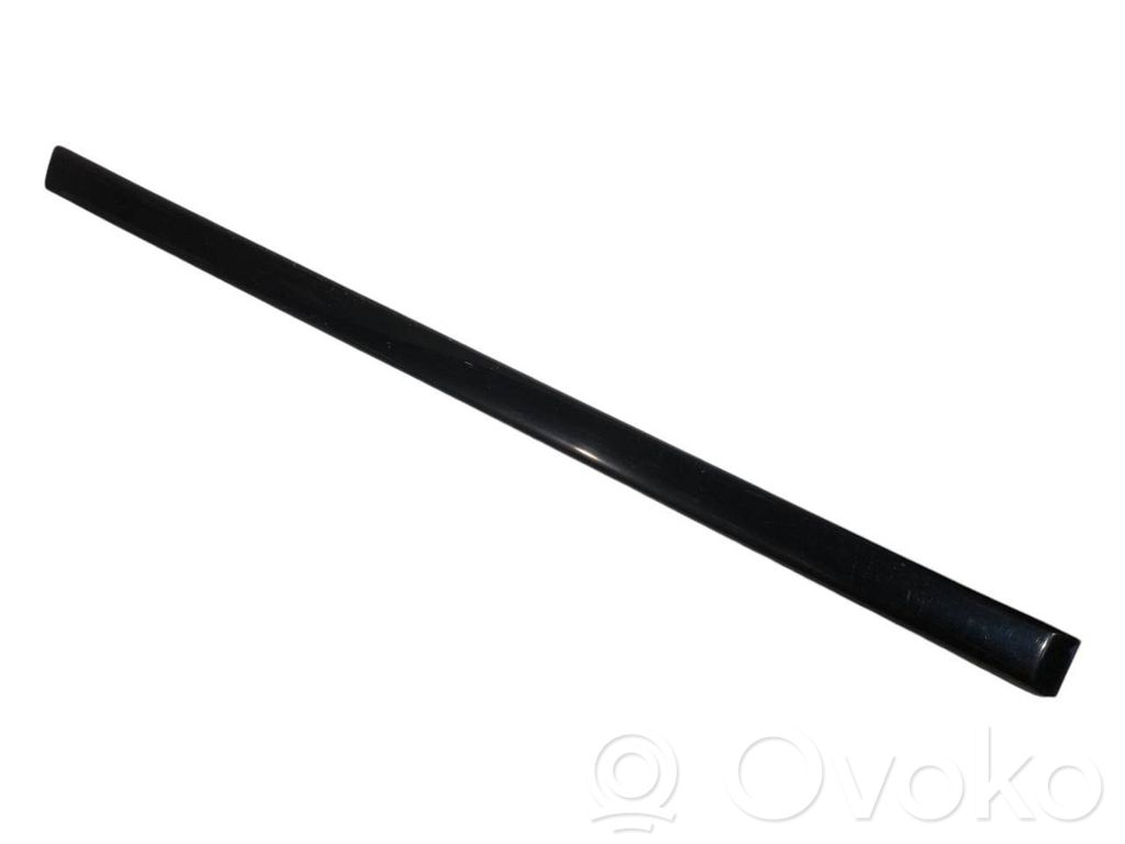 Aizmugurē durvju dekoratīvā apdare (moldings)