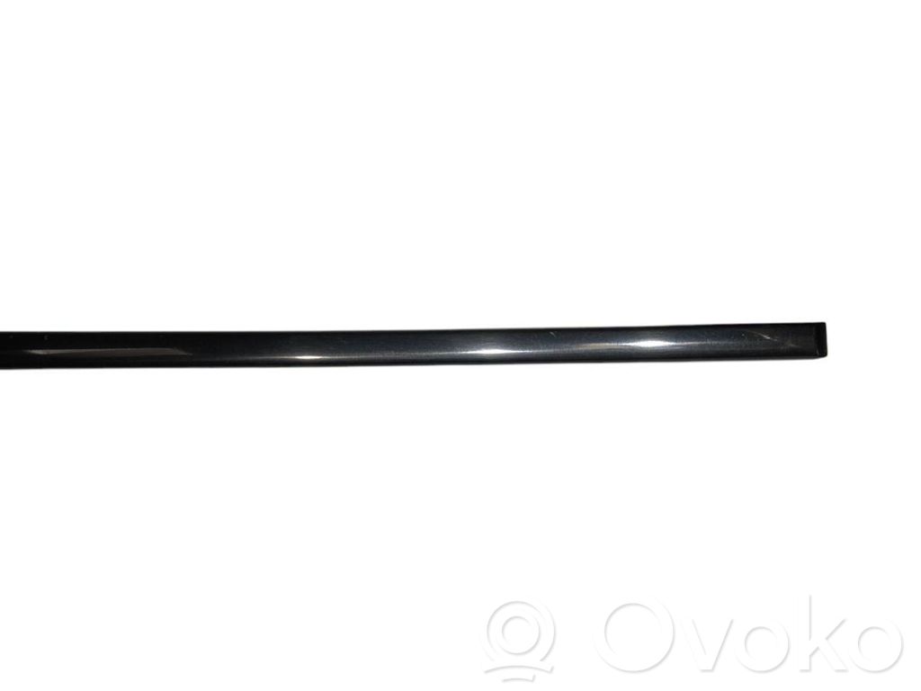 Priekšpusē durvju dekoratīvā apdare (moldings)
