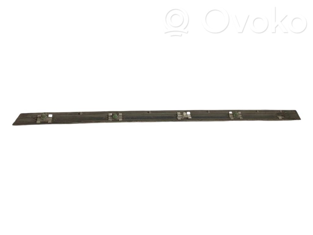 Rear door decorative trim (moulding)