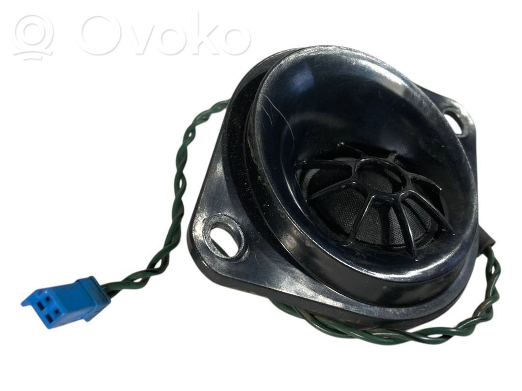 Speaker(s) in front door