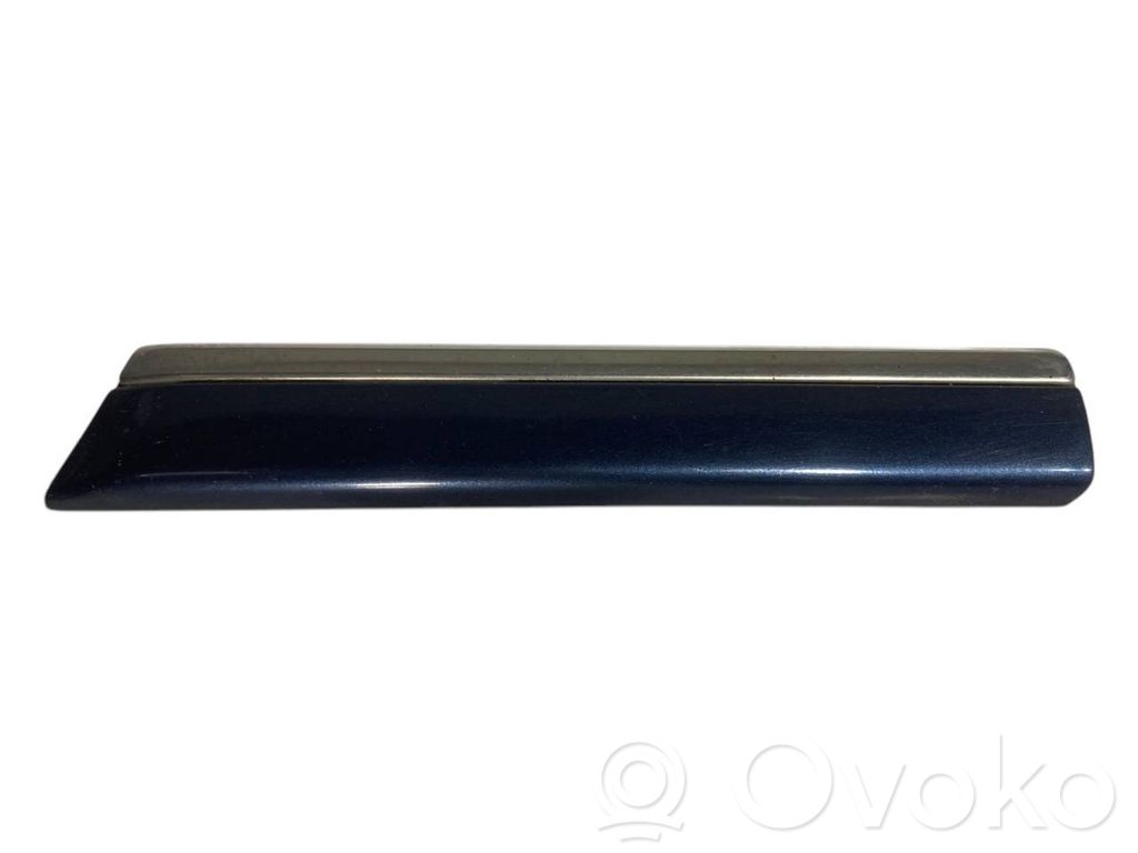 Fender decorative trim (molding)