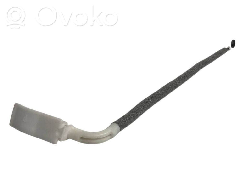 Trosīte