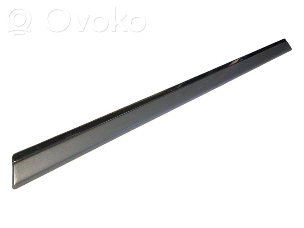 Aizmugurē durvju dekoratīvā apdare (moldings)