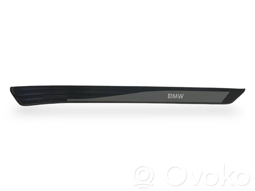 Front sill trim (inner)