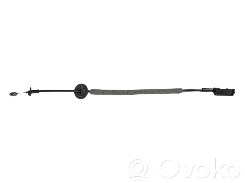Trosīte