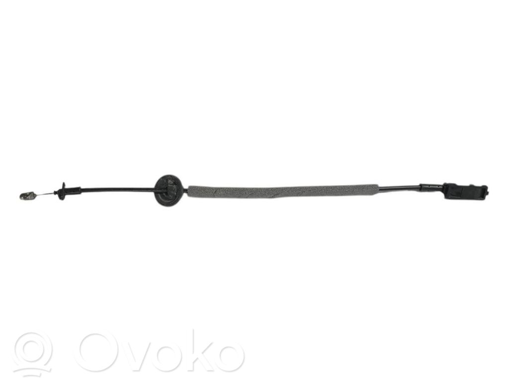 Trosīte