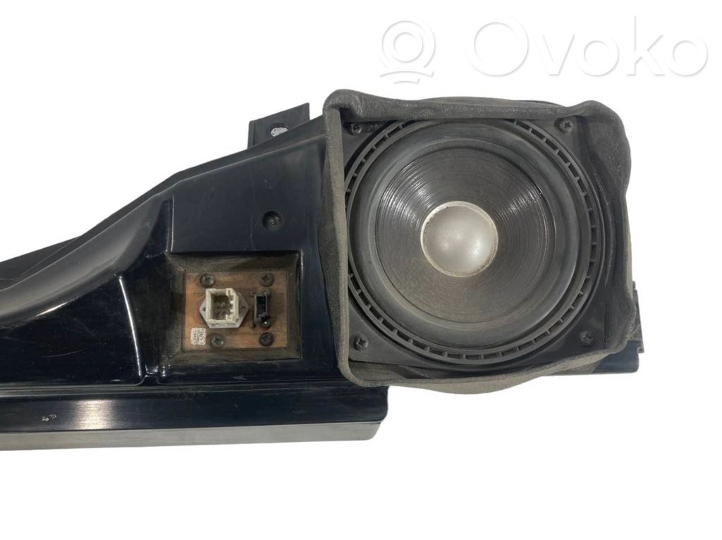 Speaker(s) in the rear door