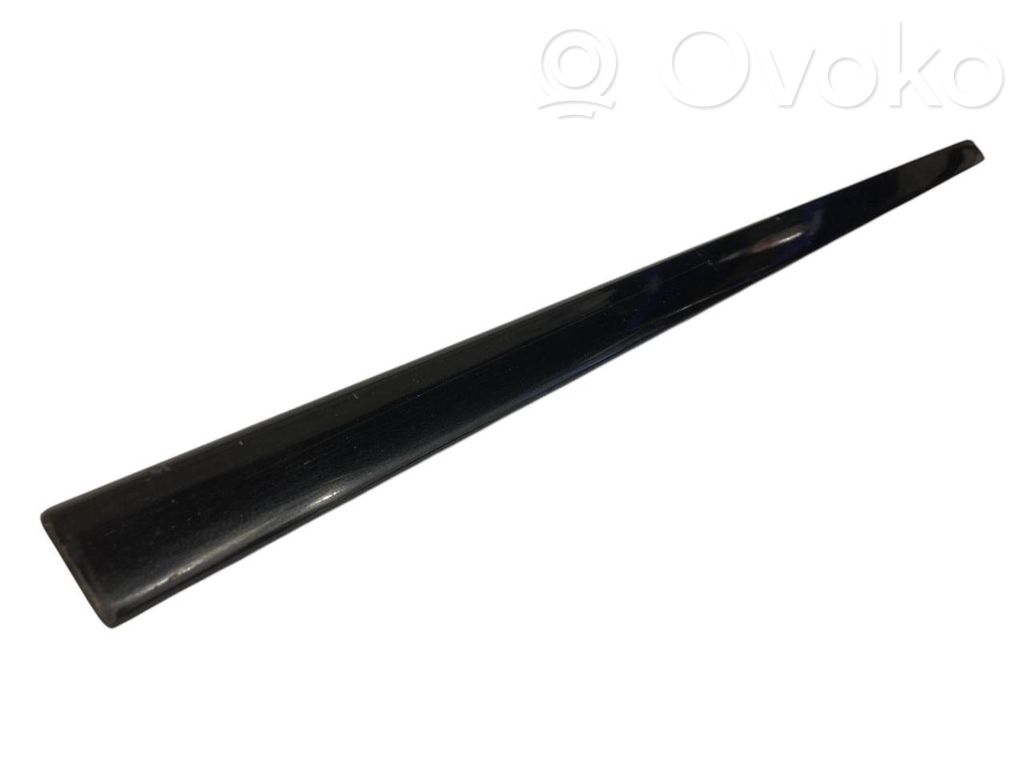Front door decorative trim (molding)