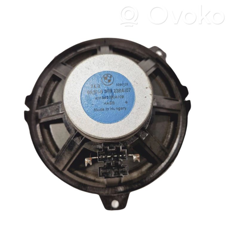 Speaker(s) in front door