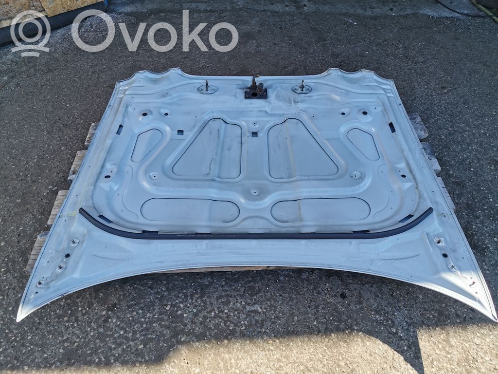 Dzinēja pārsegs (vāks)