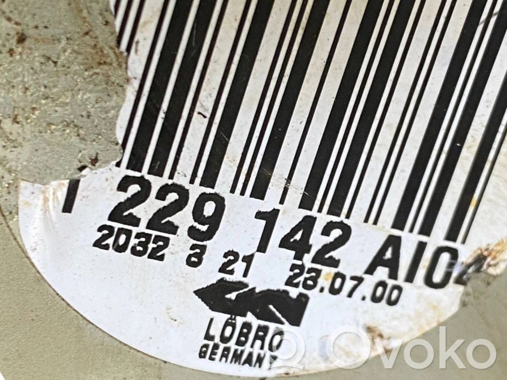 Aizmugurējā pusass