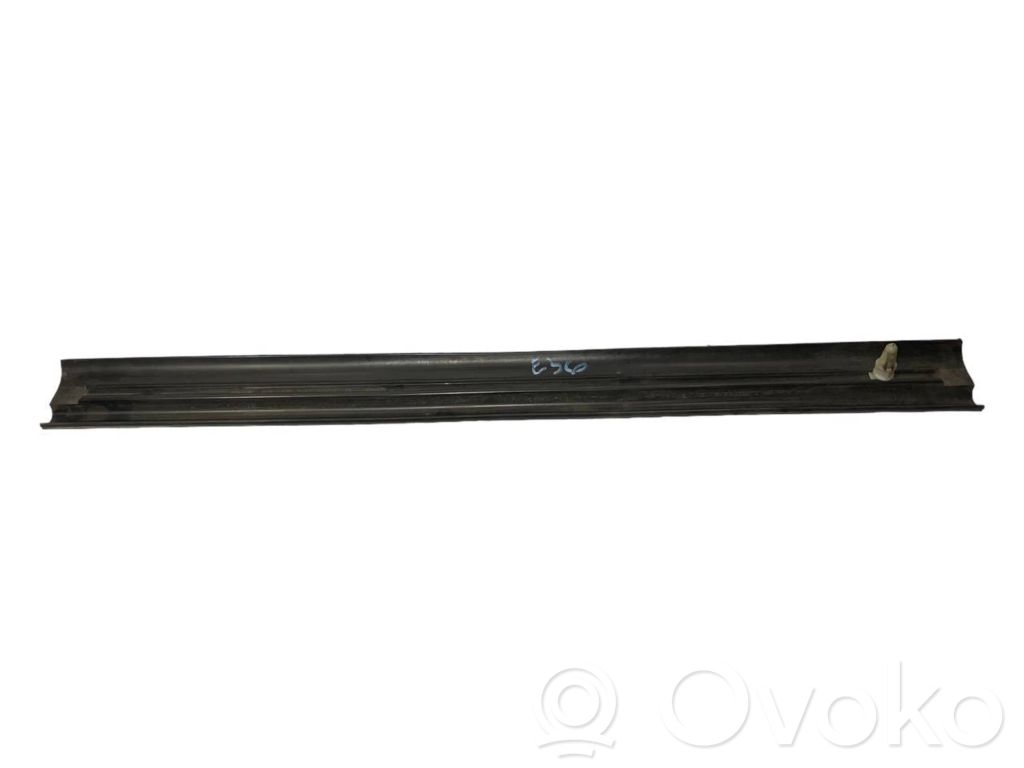 Front sill trim (inner)