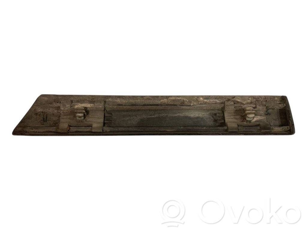 Fender decorative trim (molding)