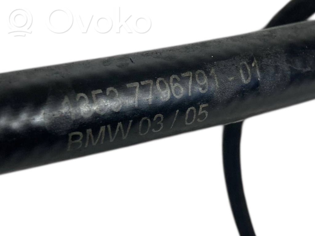 Caurule (-es) / šļūtene (-es)