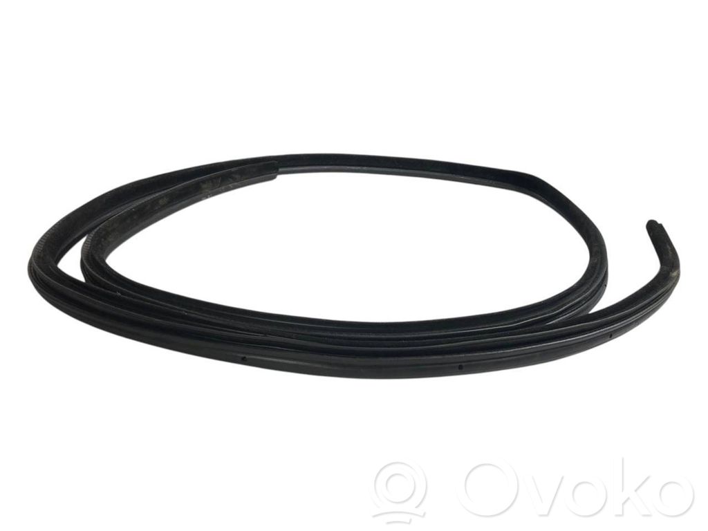 Rear trim rubber (in the body)