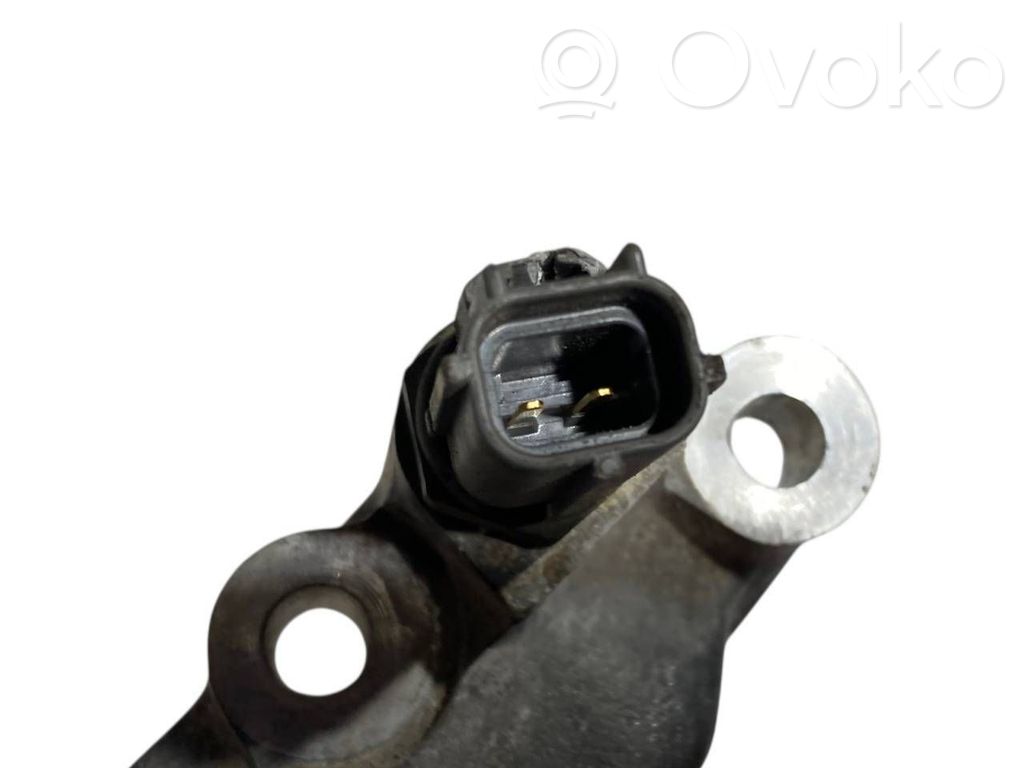 Caurulīte (-es) / šļūtene (-es)