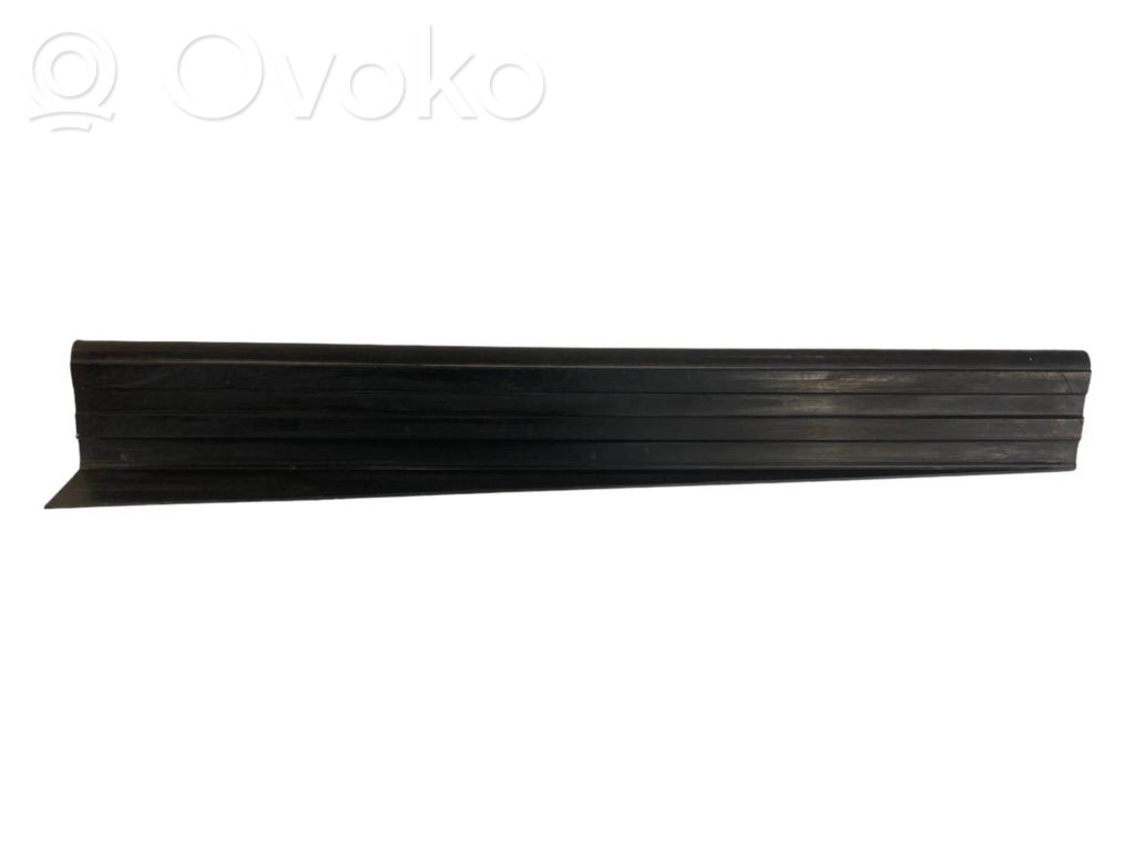 Rear door sill trim (external)
