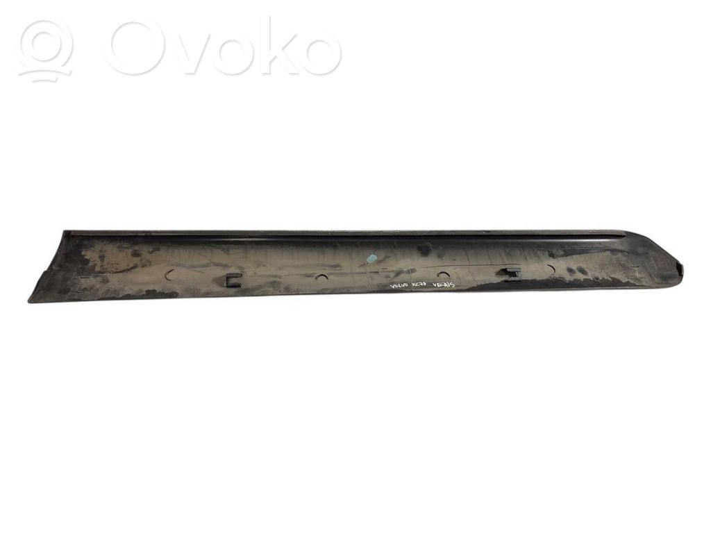 Priekšpusē durvju dekoratīvā apdare (moldings)
