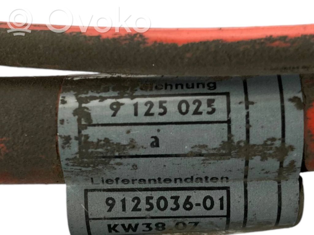 Plusa vads (akumulatora)